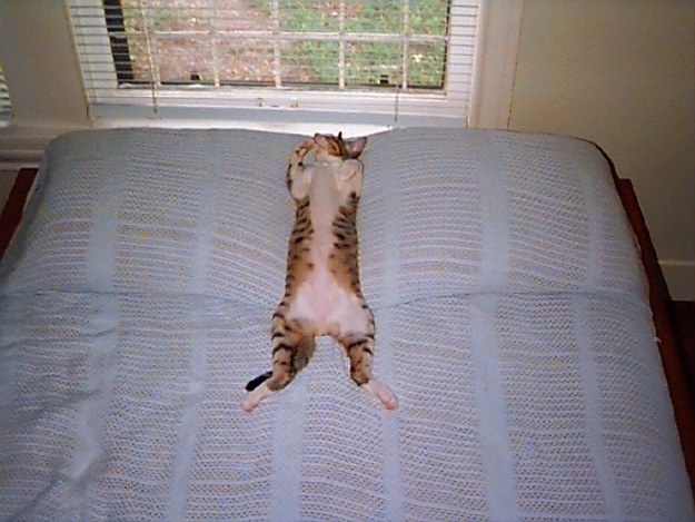 Try to stay out of the bed unless it's for sleep or sex. The more you use your bed for just the two things, the better your mind will associate it with sleep and be prepared for it at bedtime.