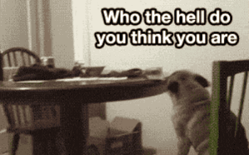 Https Encrypted Tbn0 Gstatic Com Images Q Tbn And9gct9zvx8bfgdimweedigois0rafabmdwjzf8ew Usqp Cau