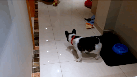 Score one for the humans!