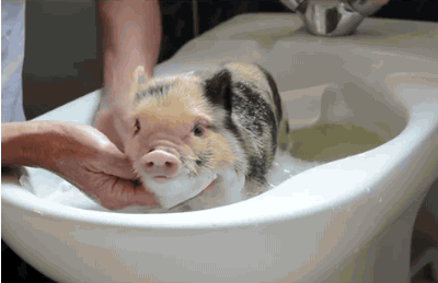 Make sure you make a bubble beard though.