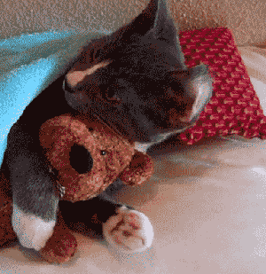 Pasarán 4 días antes de que compres una almohada de cuerpo.