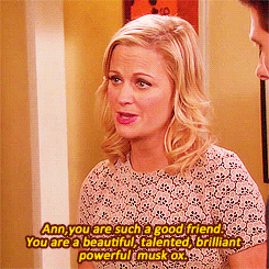 The majority of the book was about how much her friends helped and inspired her. Amy talked about each of her costars on "Parks and Recreation," Tina Fey, her childhood friends, and Seth Meyers even wrote a chapter.