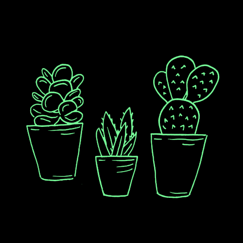 Miniature plants are not only cute, but they're portable, and ready to go with you anywhere ❤️