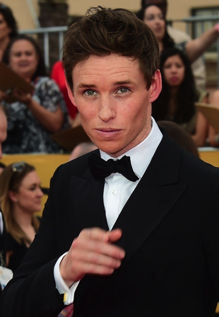 OK, But Eddie Redmayne Was This Awards Season's Best-Dressed Babe