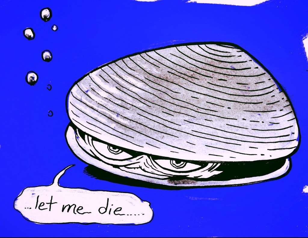 graphic of a clam