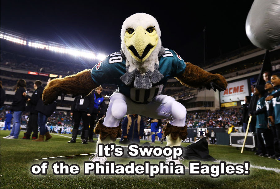 Eagles' Swoop Loses to Buffalo Mascot in List of Best NFL Mascots