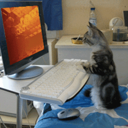 Both hands up if you sent said messages on http://www.alanismorissette.com...