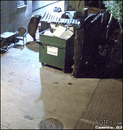 Everyone knows where the trash accumulates, but no one knows where it disappears after that.