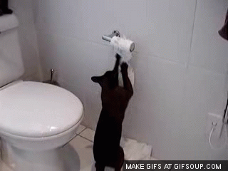 You always replace the toilet paper when it's your turn to buy, but never see it get replaced.