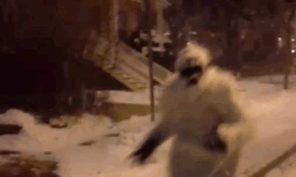 Snowed-in Boston residents posted photos of a mysterious figure dressed like a Yeti stalking the streets at night on January 26. While the city faced a travel ban, with up to two feet of snow, the Abominable Snowman roamed free.