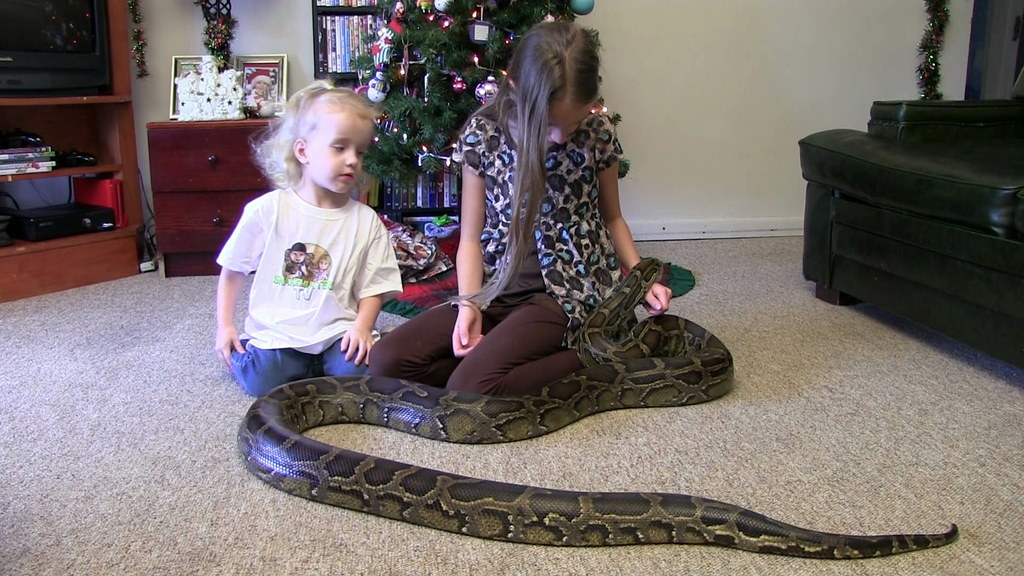 Father Thinks Snakes Are Harmless, Lets Daughter Play With Pet Python