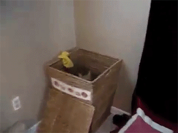 You're not proud of it. But sometimes, you've got to do what you've got to do.