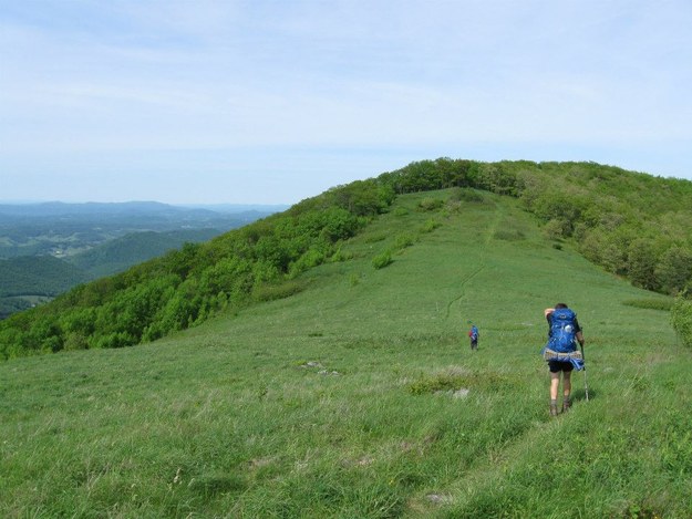 Hit the Trail!