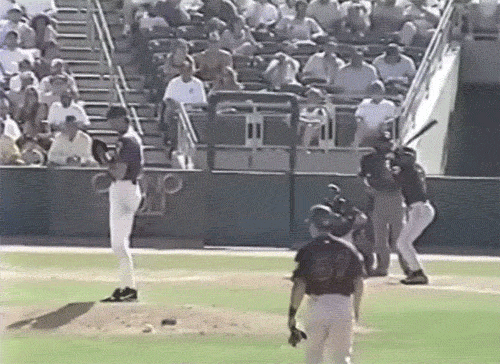 Let Us Never Forget That Time Randy Johnson Killed A Bird With His Fastball