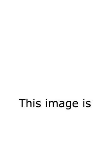 31 Jaw Dropping Plus Size Wedding Dresses