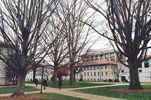 Emory University On Buzzfeed