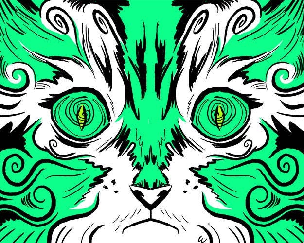 (VIDEO) Horrifying Stories Of Animals Eating Their Owners