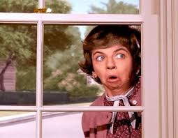 The Nosey Neighbour