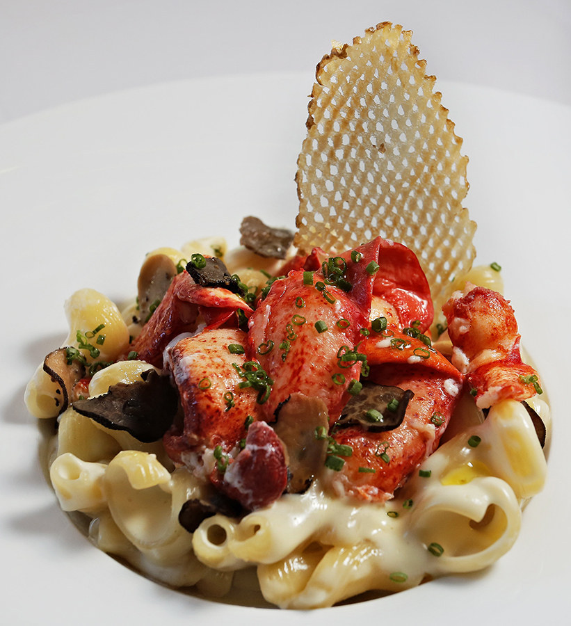 What makes buttery lobster even better? Loads of cheddar, grocery, and Parmesan cheese!