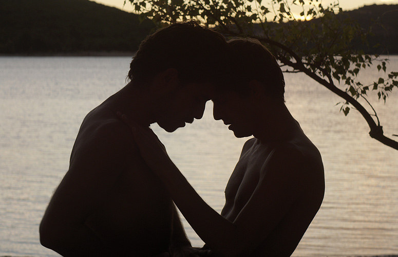 Directed by: Alain GuiraudieWritten by: Alain GuiraudieI can't recall a film with more full-frontal male nudity than Stranger by the Lake: It is a cavalcade of dicks (and some unsimulated sex to boot). On the whole, it's a fascinating thriller, but for eye candy alone, it's a rare cinematic treat.