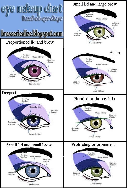 Eyeshadow Application Chart