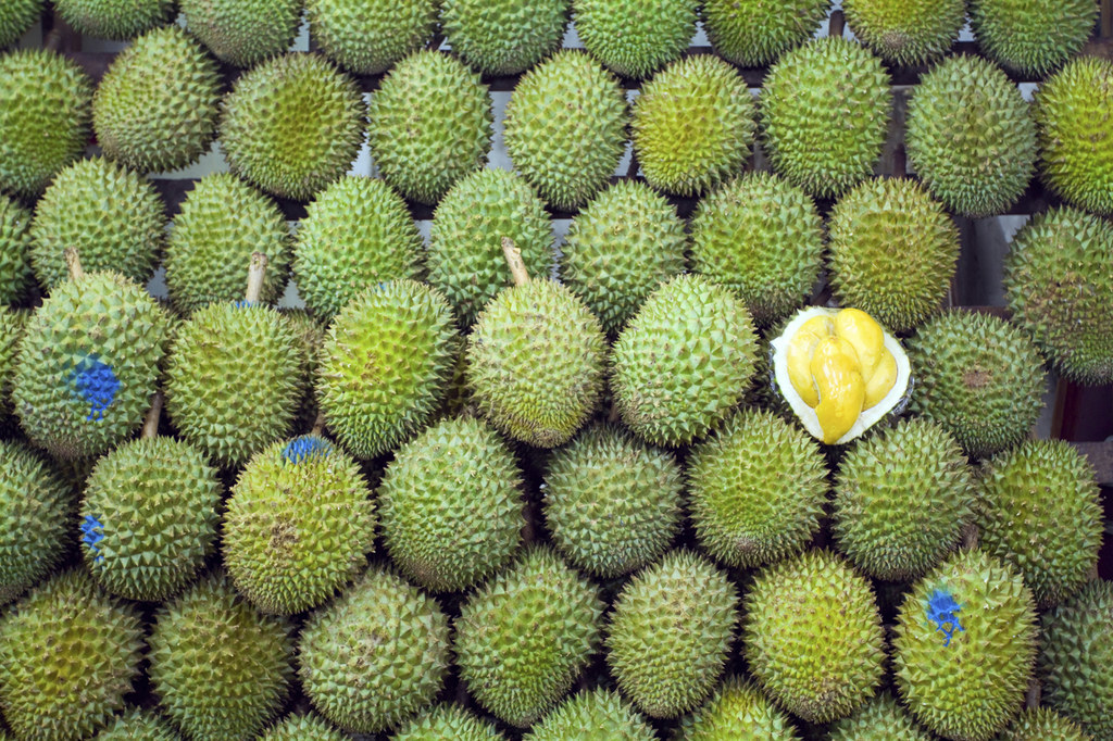 Some say it tastes like rotten mushy onions, others live for this squishy tropical fruit, regarded as the King of Fruits in Southeast Asia. You need to try it once in your life, if only to see where you stand.