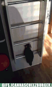 To take something up or down a notch.
