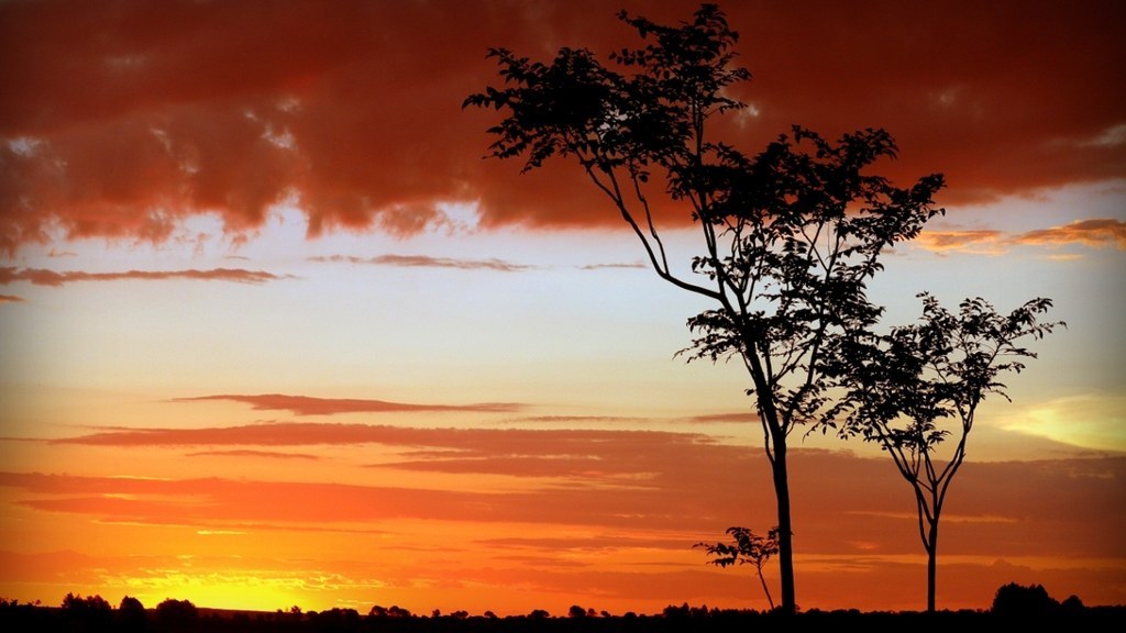 South Africa, Africa