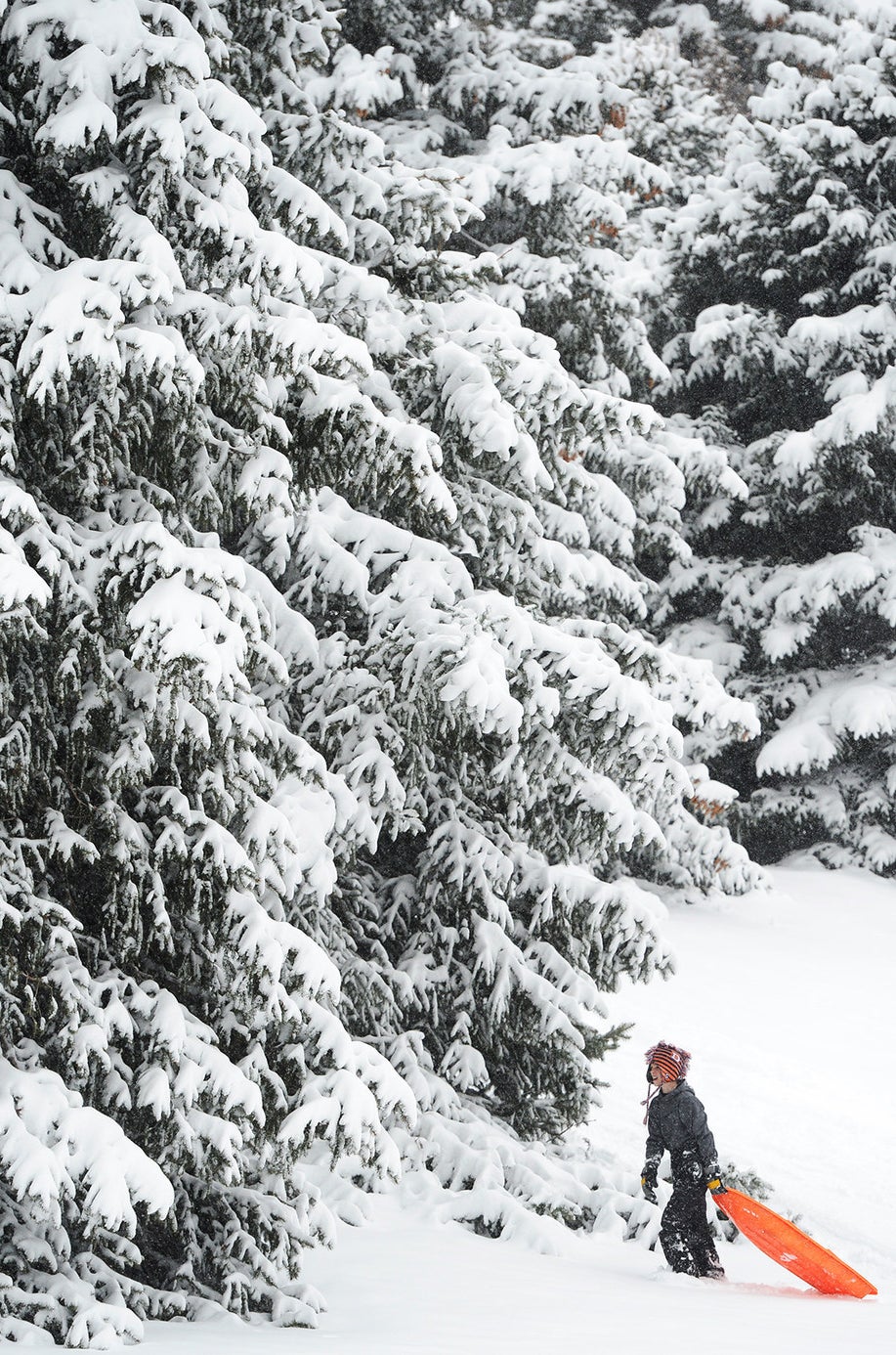 Lakewood, Colorado on February 16, 2015.