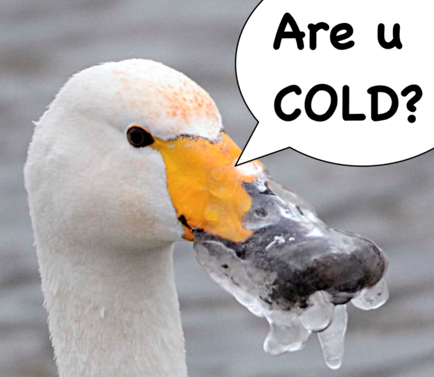 Are You Cold Right Now 