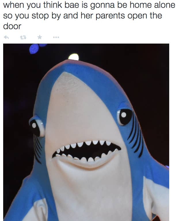 The 23 Most Important Moments In Left Shark History