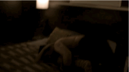 Let's get sexy on the bed oh wait stop there's pizza.