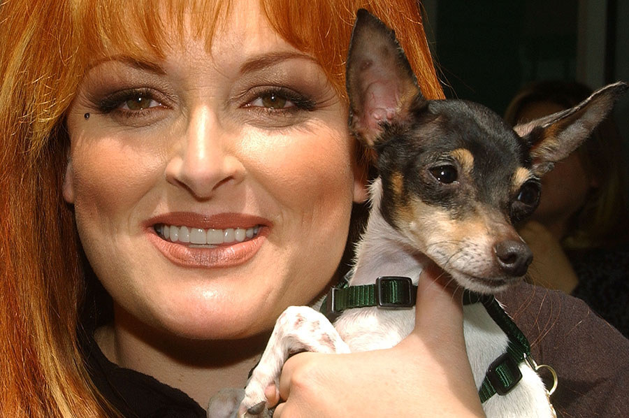 Wynonna Judd, a huge supporter of animal adoption, shares her Nashville ranch with her numerous best friends, including Pixie, a Rat Terrier who suffers from arthritis. Judd adopted Pixie from Animal Haven in New York City in May 2003 while she was helping promote National Arthritis Month.