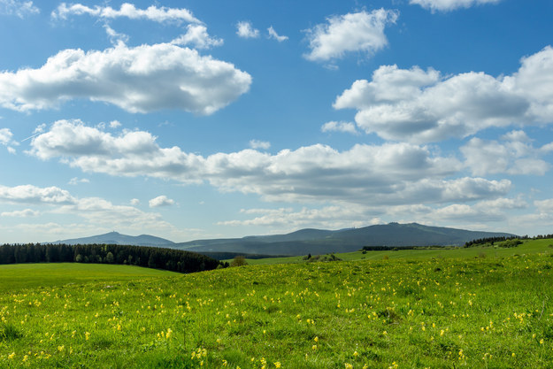 Zwischen Königshütte und Elbingerode im Harz.