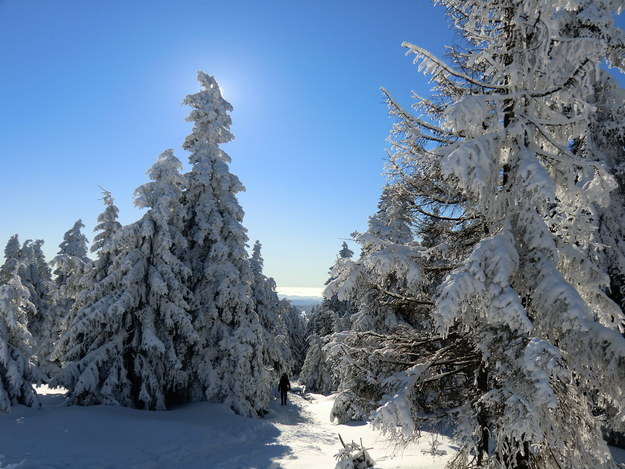Auf dem Brocken im Harz.