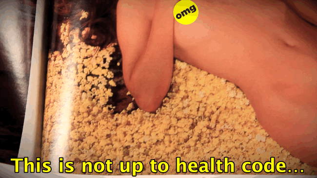 Like this popcorn carpet, for example.