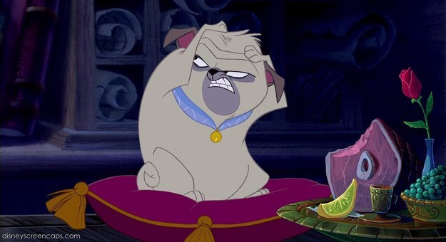 5 Times Percy The Dog Was The Most Important Character In Pocahontas