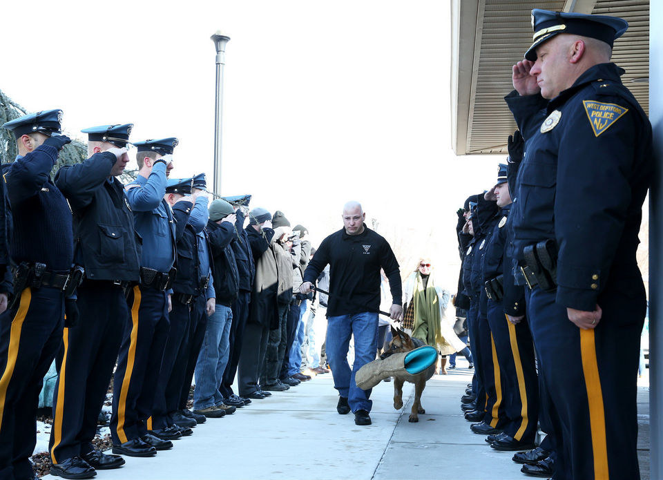 Corporal Michael Franks took the heartbreaking decision to put the 9-year-old German shepherd down after watching his health deteriorate.Gloucester County Online reported that Judge and Franks had worked together since 2007 and that the former was deployed over 280 times, helping arrest 152 people.