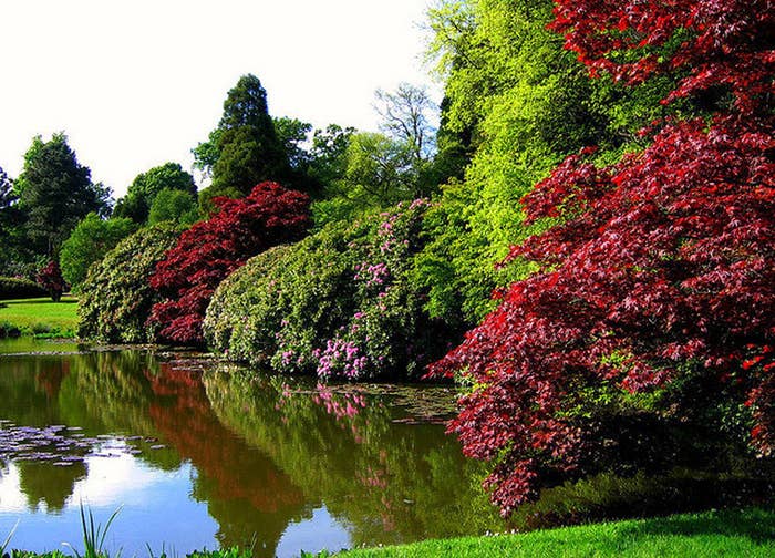 This Is What Spring Looks Like In Case You’ve Forgotten