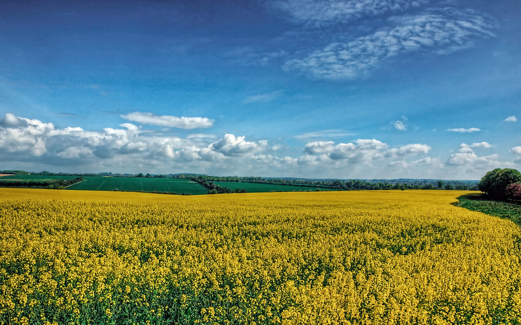 how-does-spring-feel-like-ouestny