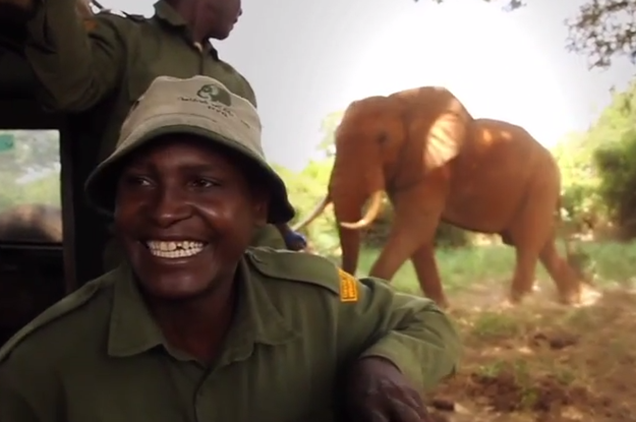 An Elephant Found The Man Who Saved Him 26 Years Ago And Their Reunion ...