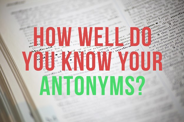 How Well Do You Know Your Antonyms?
