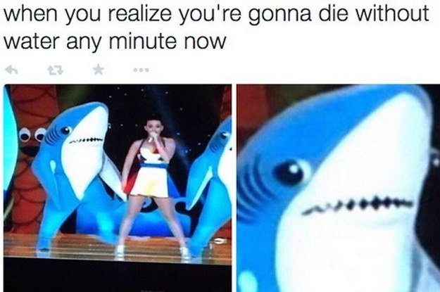 The 23 Most Important Moments In Left Shark History