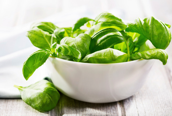 Deliciosa Y mágica, algunos dirían que la albahaca es muy buena para ser real. Gracias a los productos químicos y aceites esenciales refrescantes que se encuentran dentro de las hojas de las plantas, la albahaca ayudará a prevenir la infección de una picadura, explica Jackson.