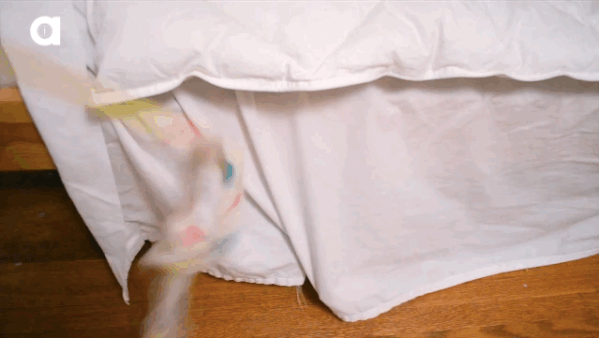 The Monster Under Your Bed Is Cuter Than You Think