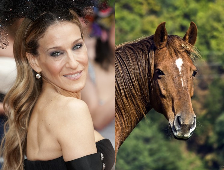 Why the long face?