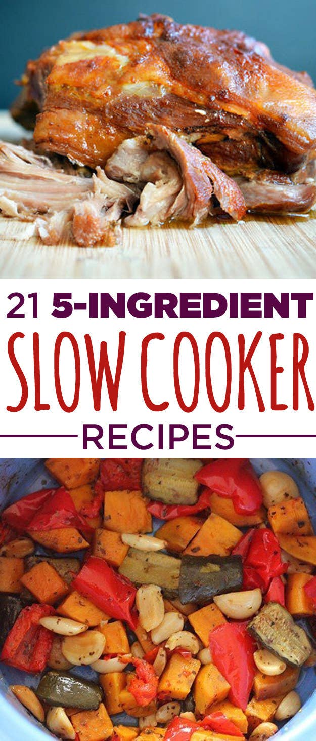 Unbelievable! 5 Ingredient DUMP AND GO Crockpot Recipes That Will