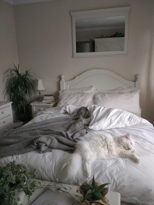 We could all use a mid-day nap.