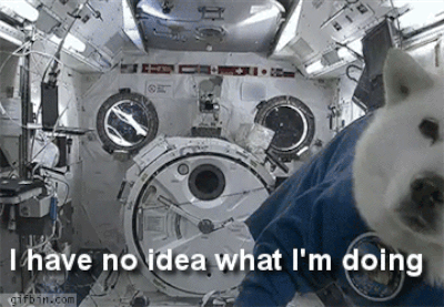 "Every push or thrust will propel the astronaut in the opposite direction. Imagine a pair of ice skaters standing on fresh ice. If they were to push their hands against one another, they would each shoot backwards away from each other," said Millis. "Astronauts would have to be properly anchored, not only to the space station itself, but also to each other. This makes the mechanics of the sex act difficult and probably somewhat awkward," he said.