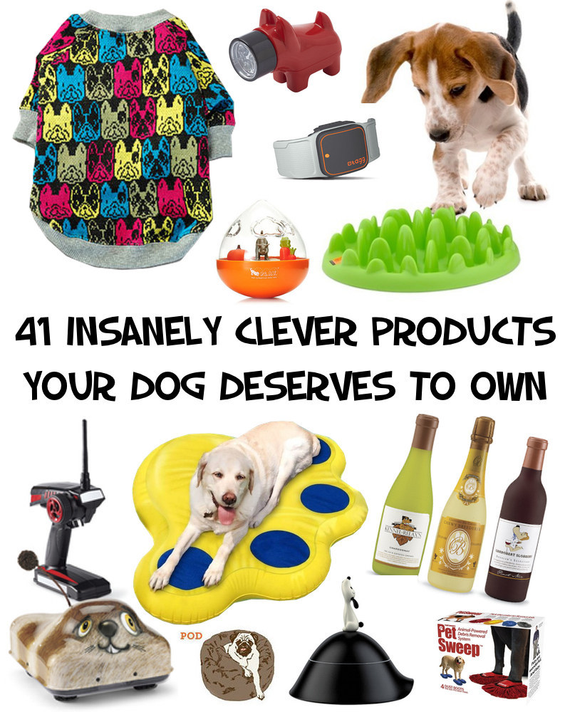 41 Insanely Clever Products Your Dog Deserves To Own